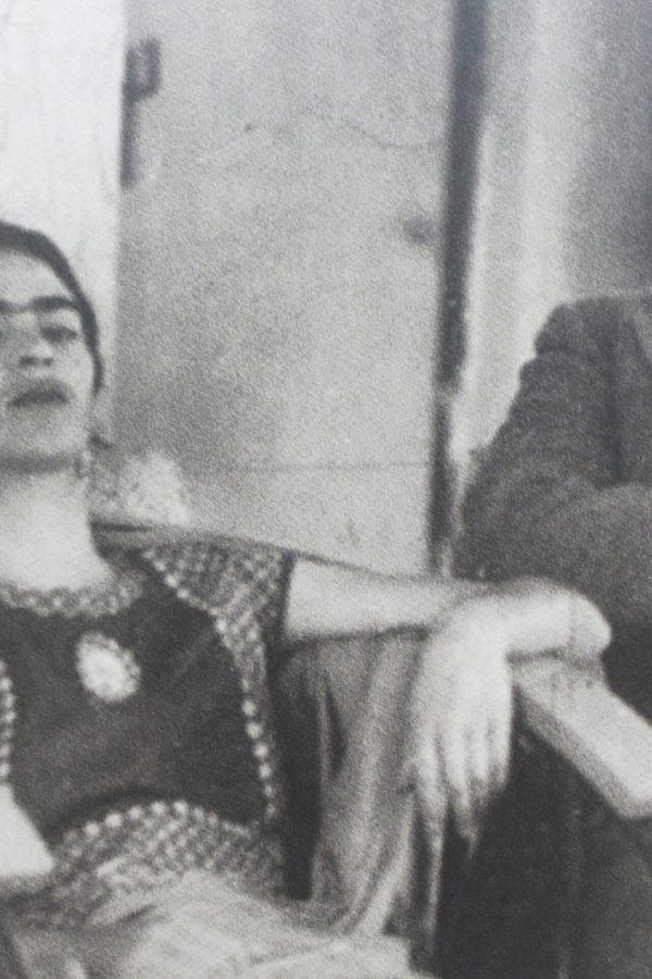 Diego y Frida